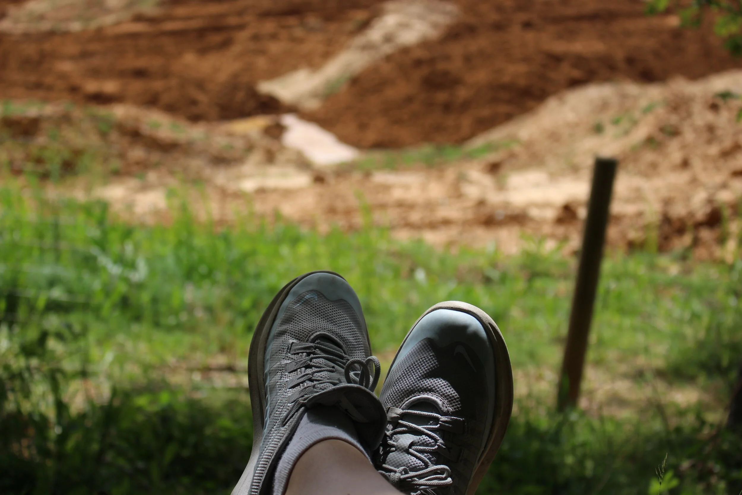 11am - (© Alice Bennett)