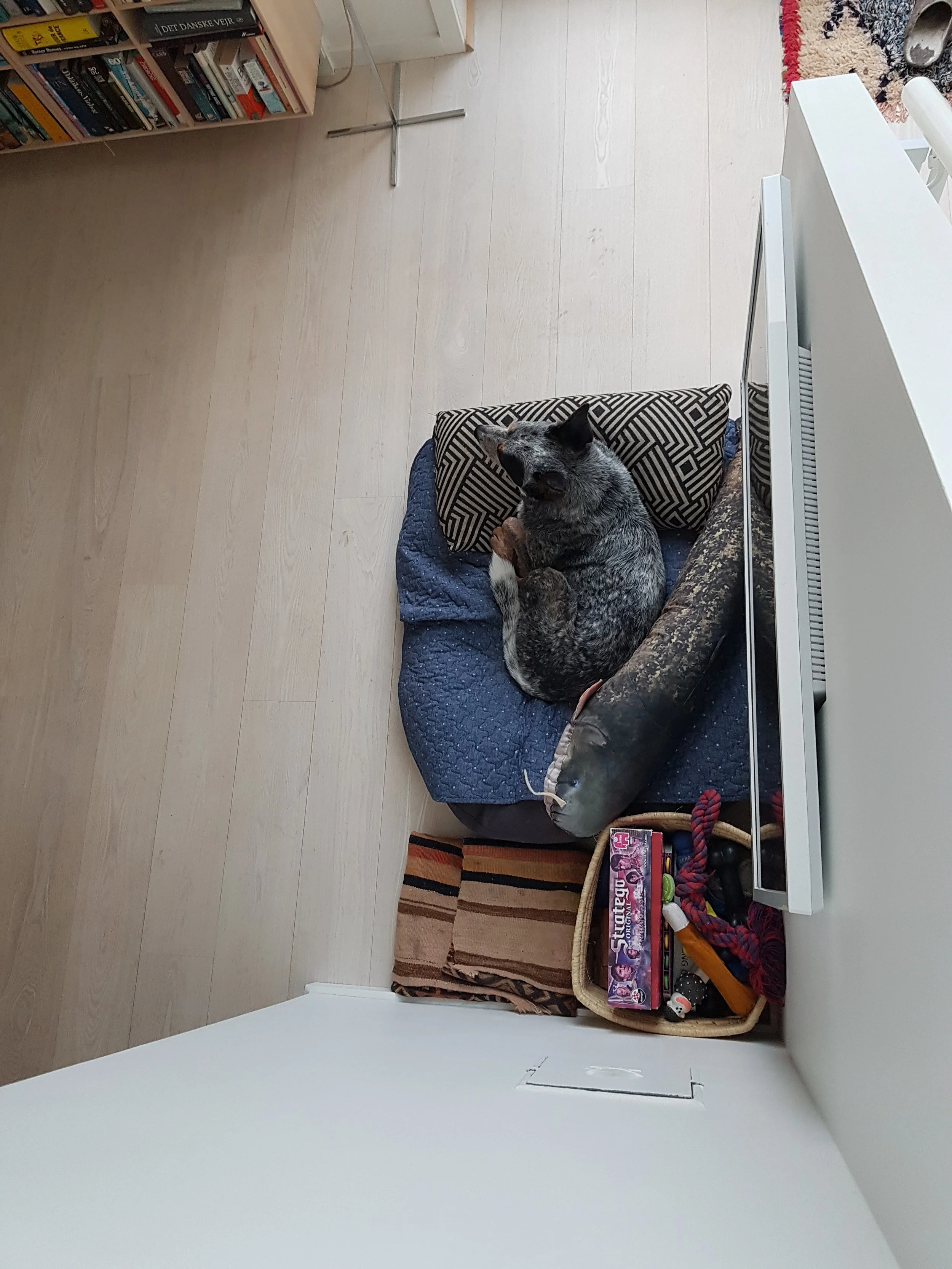 Life in a day, April 27