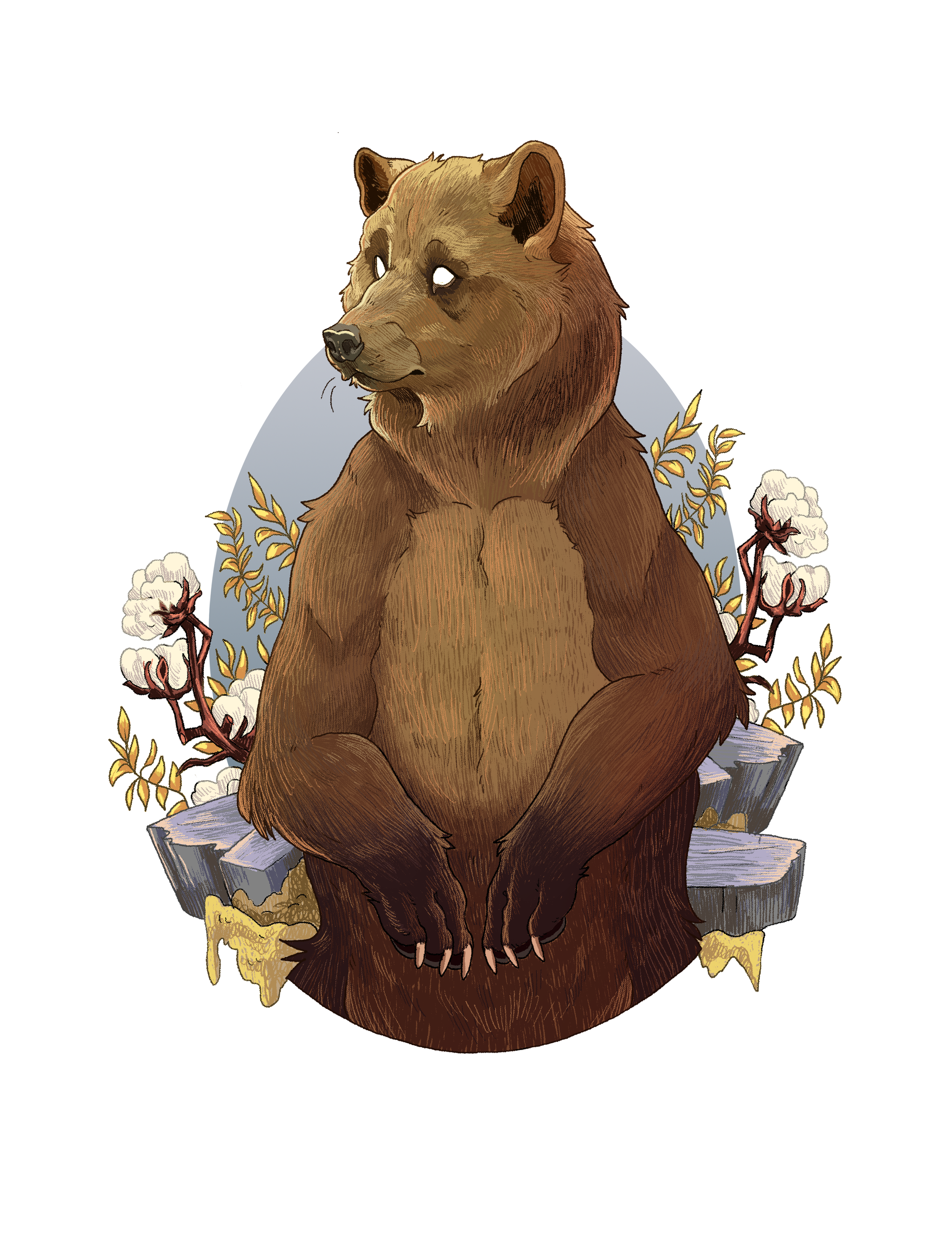 bear final.png