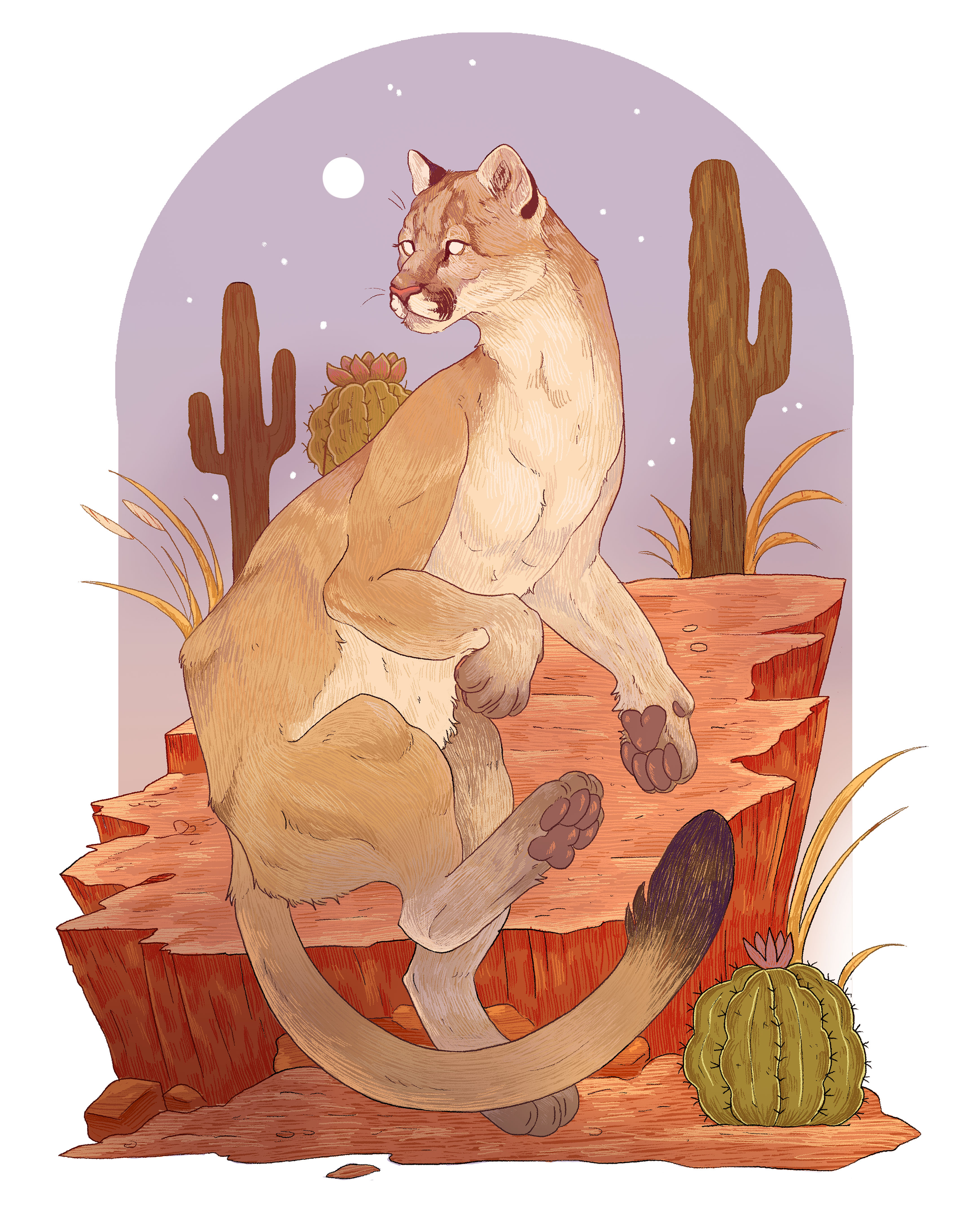 MOUNTAIN LION PAGE.png