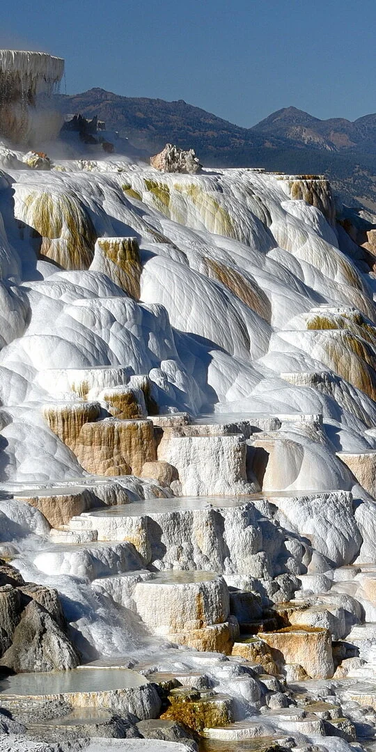 180 W 32 Mammoth Hot Springs.jpg