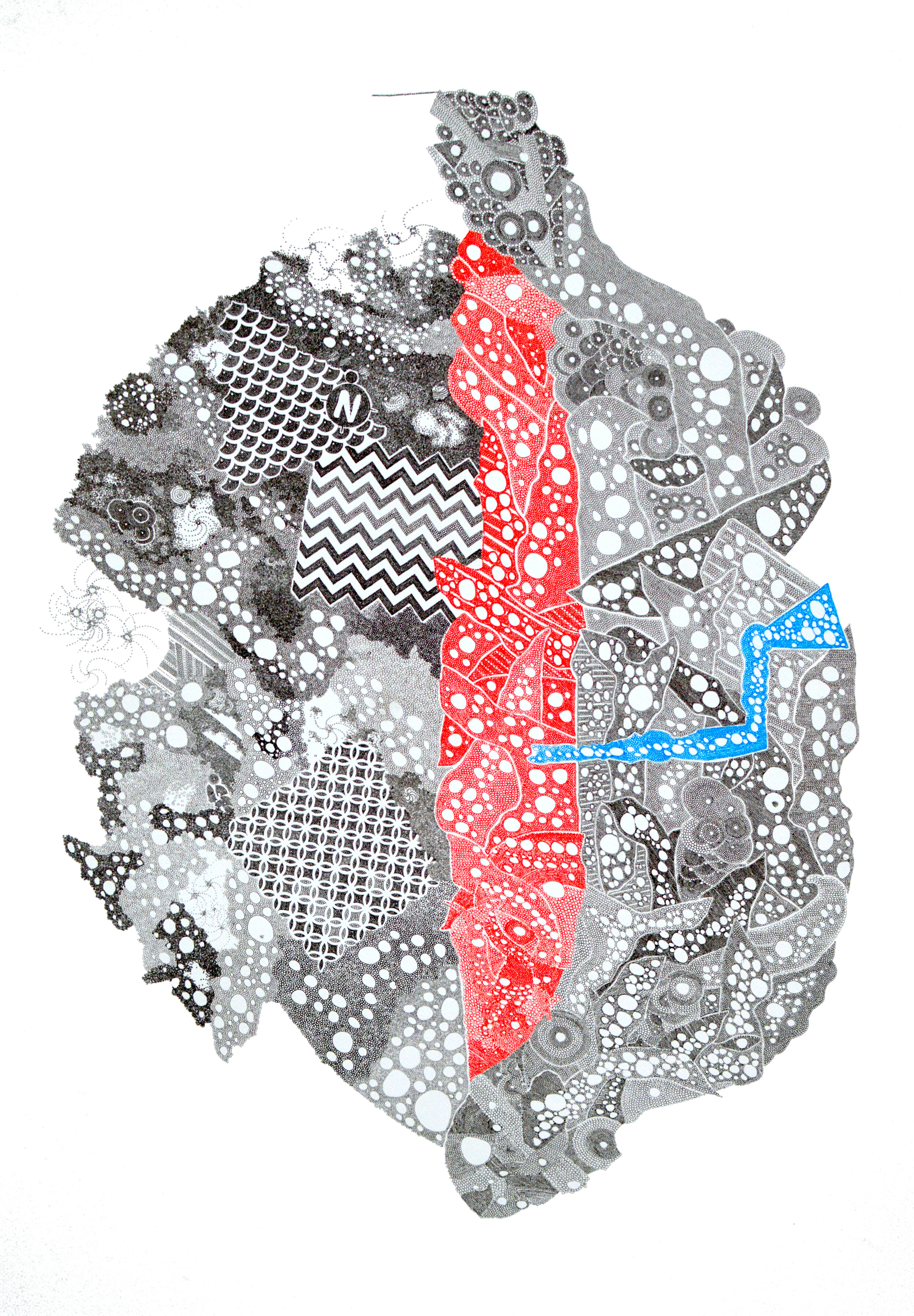 carrickalinga map.JPG