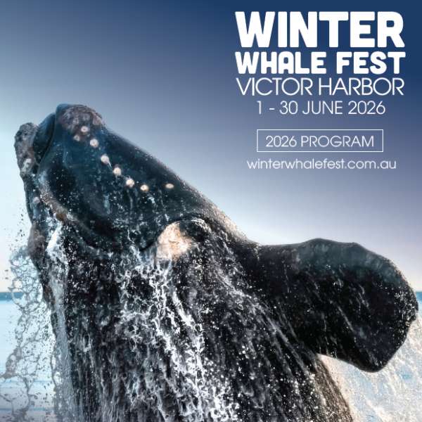 Winter Whale Fest