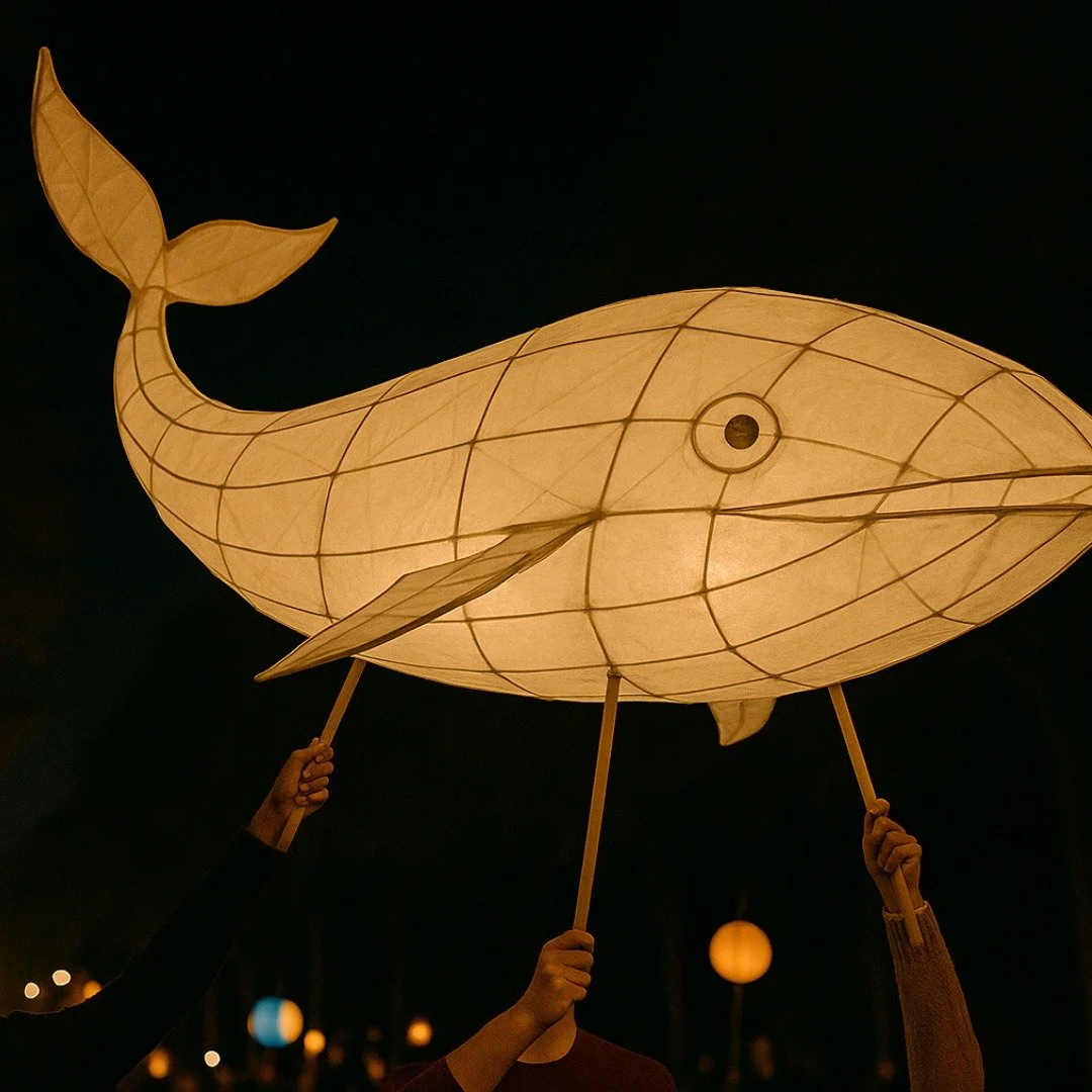 ✨ Witness the magic of the Kondoli Lantern Parade - a luminous highlight of this year&rsquo;s festival. ✨

Watch as glowing whale lanterns wind through Warland Reserve, sharing stories of Kondoli and celebrating the connection between people, place, 