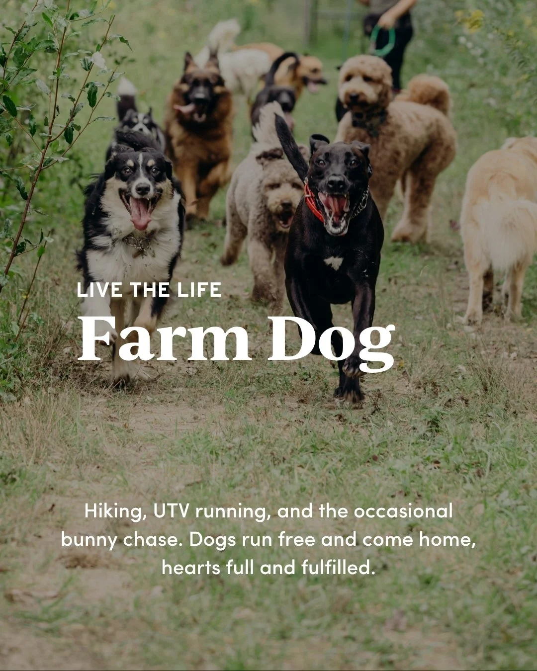 IG Posts (Portrait) Master Template - DO NOT EDIT (78).jpg