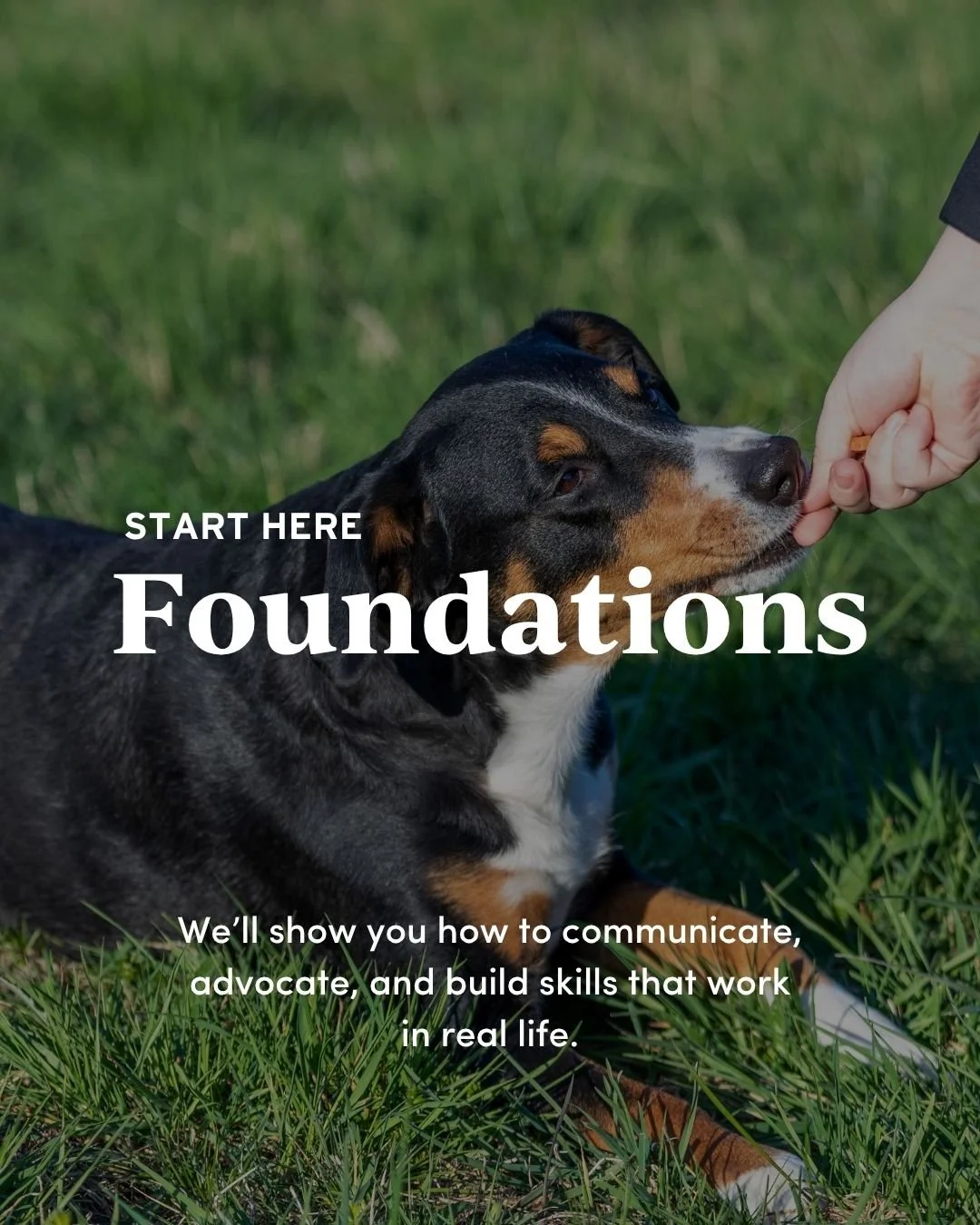 Real-life dog training that builds calm, clarity, and everyday function with Opportunity Barks in Phildelphia and Quakertown.