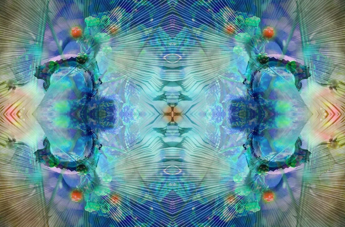 Plante_symmetry15.jpg