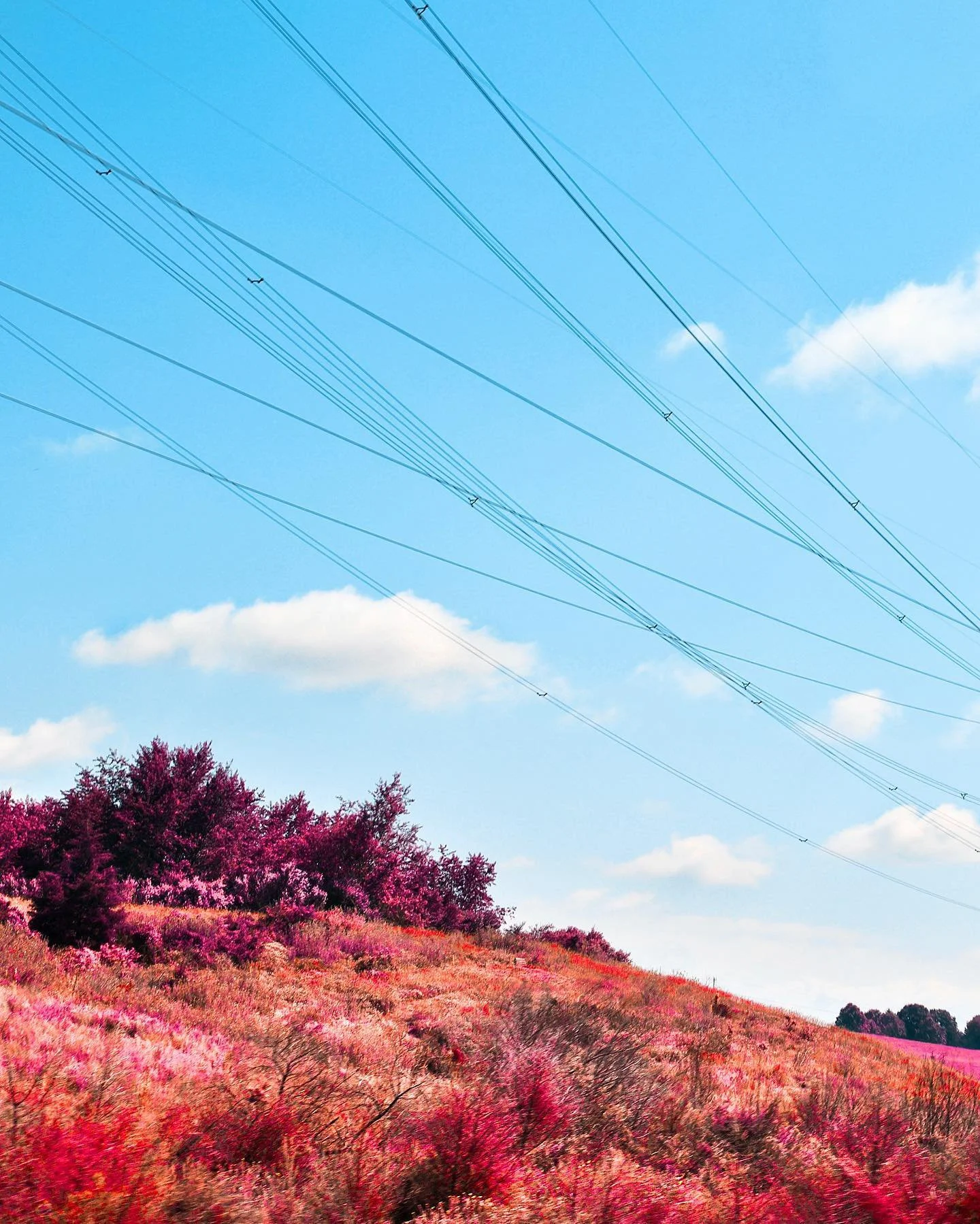 Plante_wires_infrared.jpg