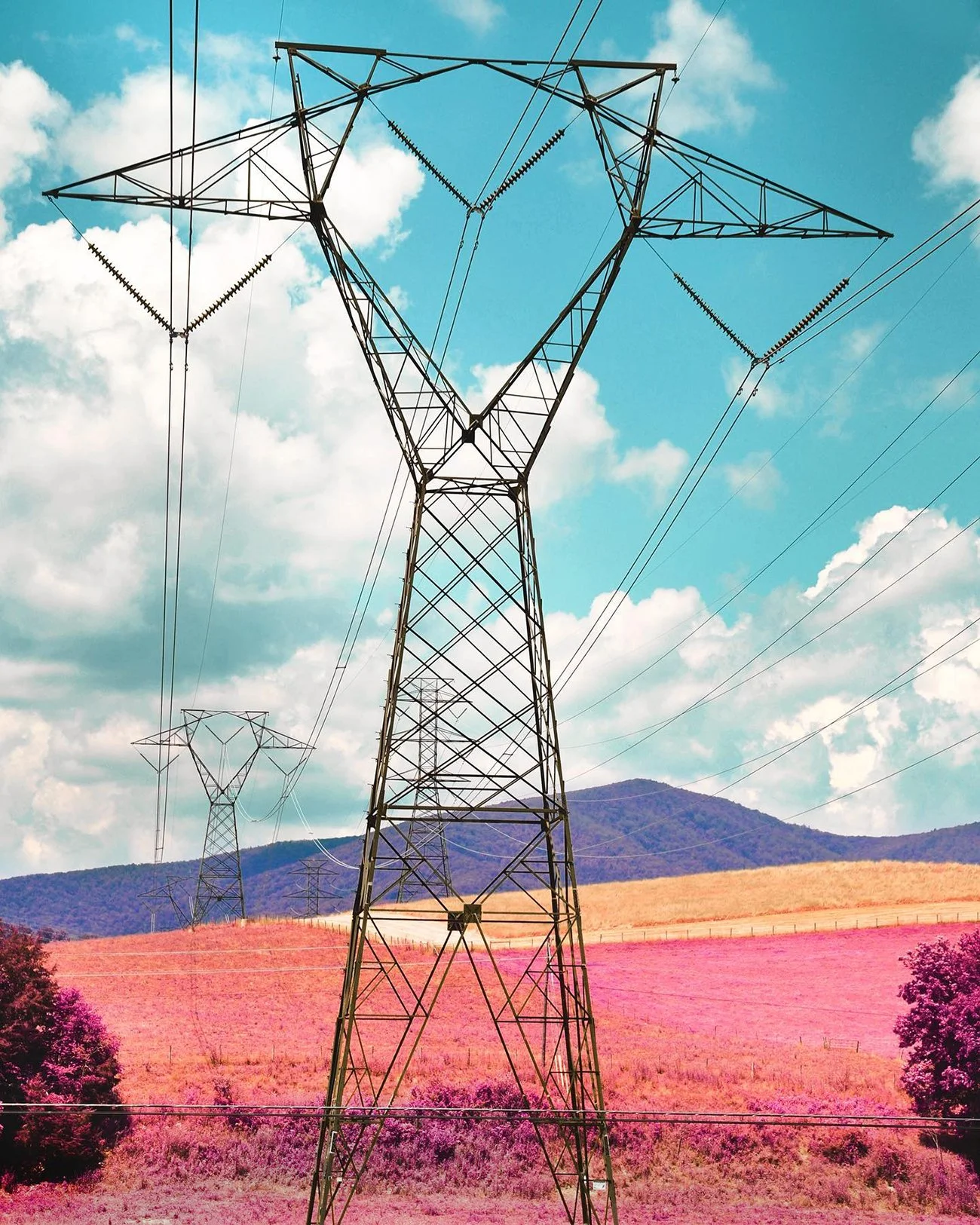 Plante_powerlines_infrared.jpg