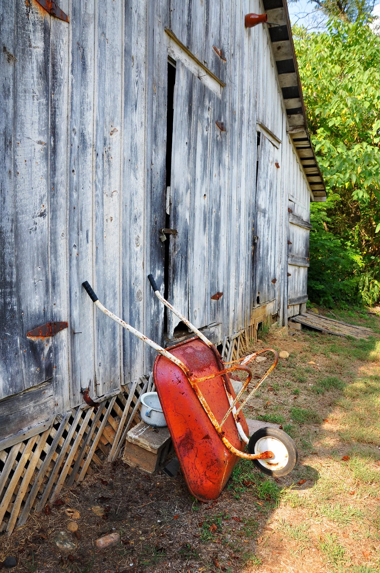 Plante_redwheelbarrow.jpg