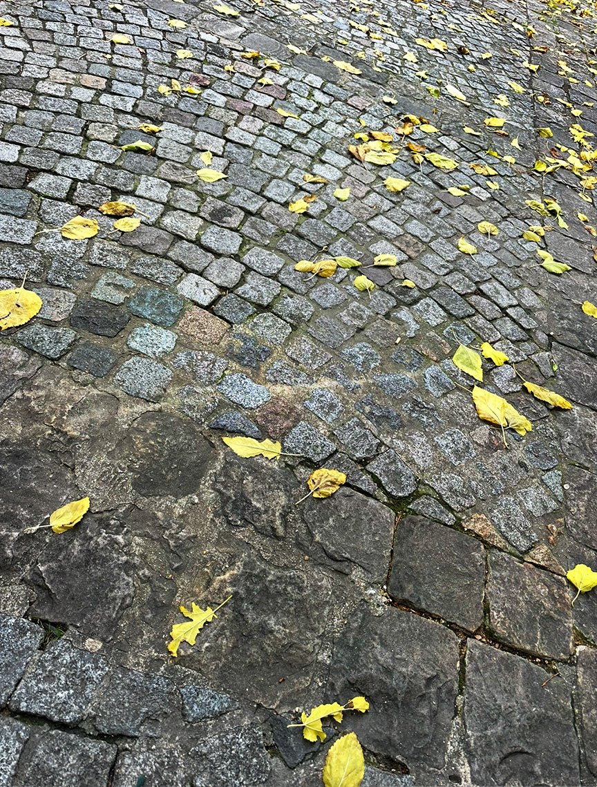 cobblestones.jpg