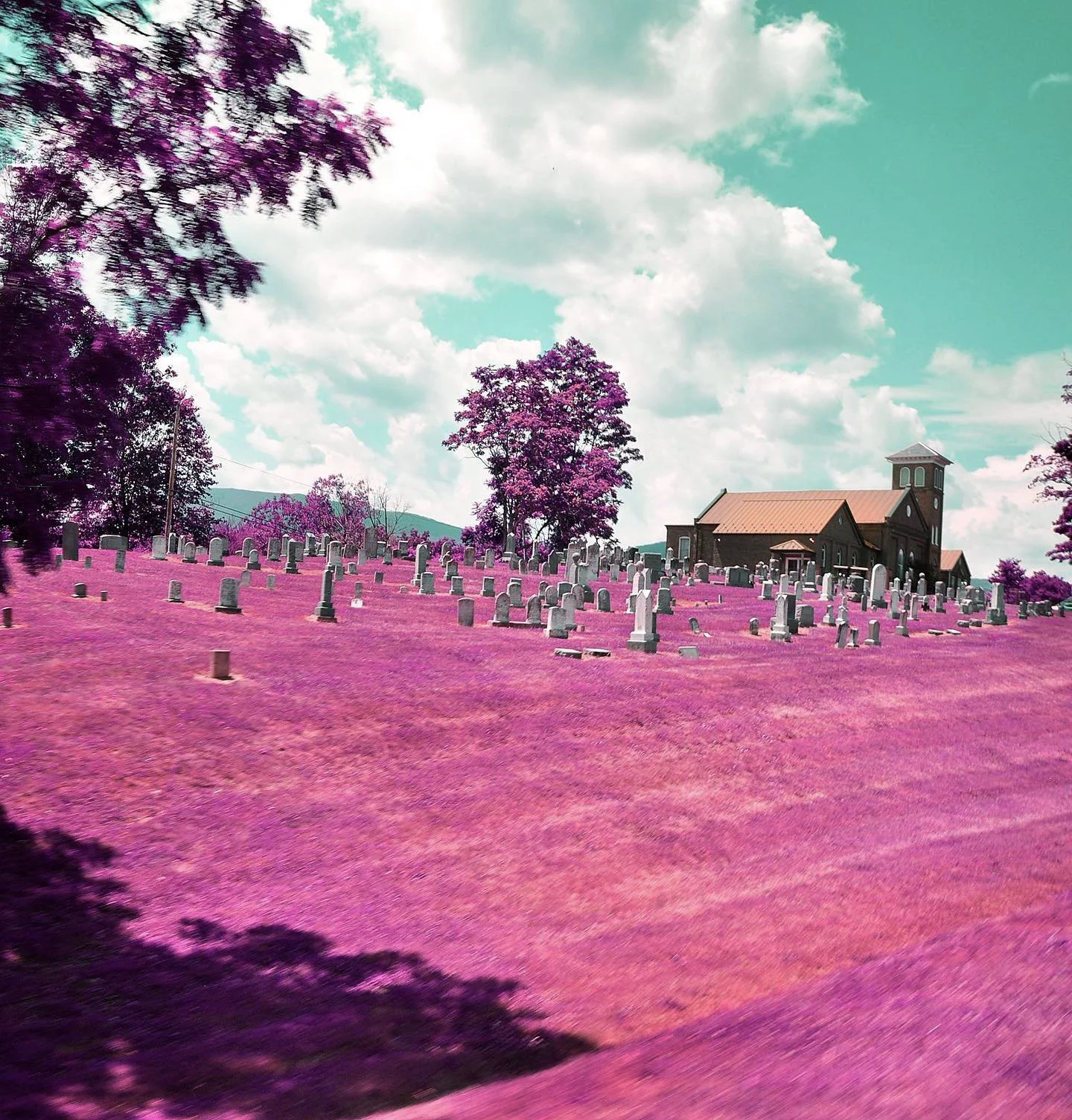 Plante_graveyard_infrared.jpg
