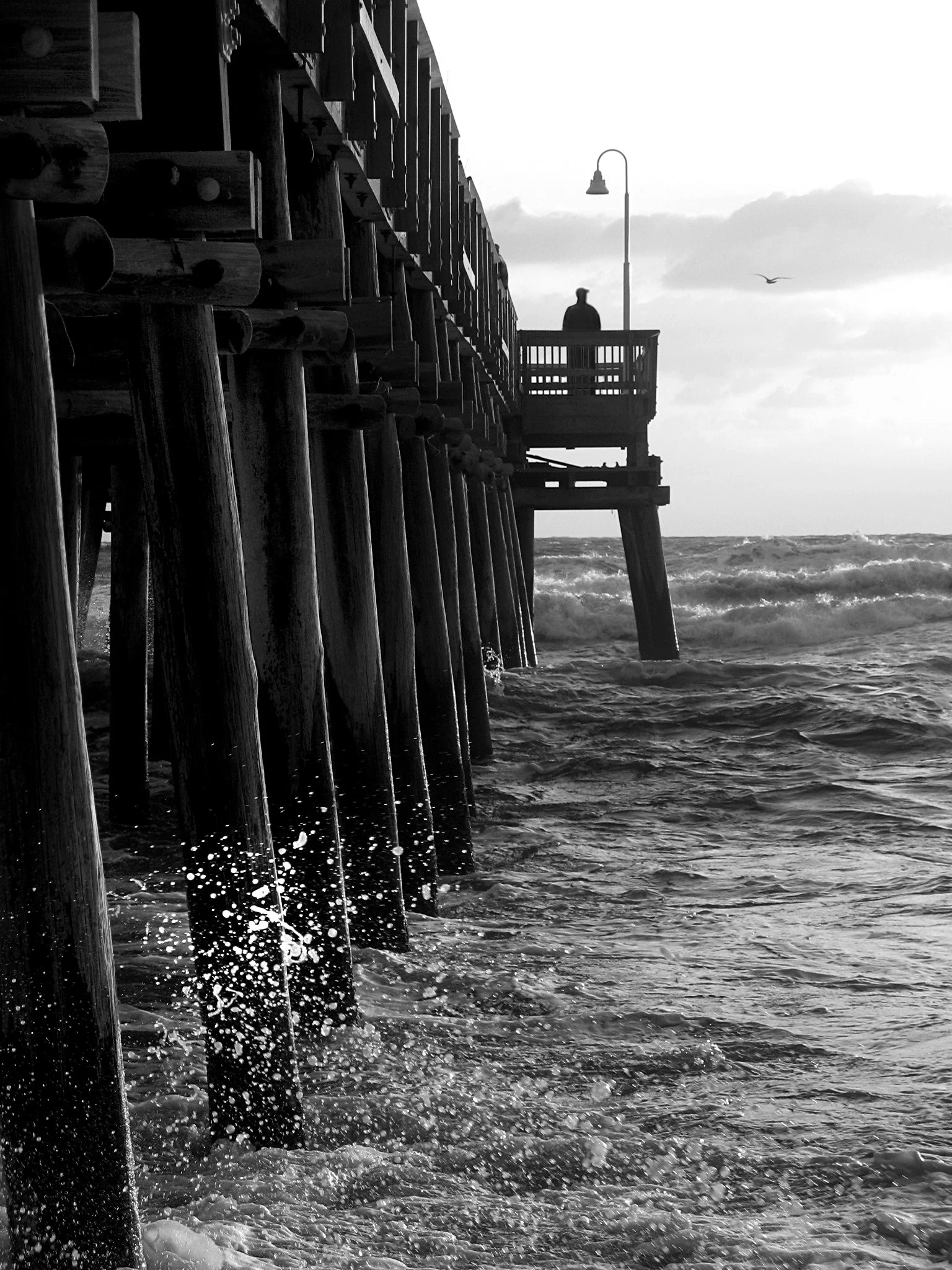 Plante_surf_pier.jpg