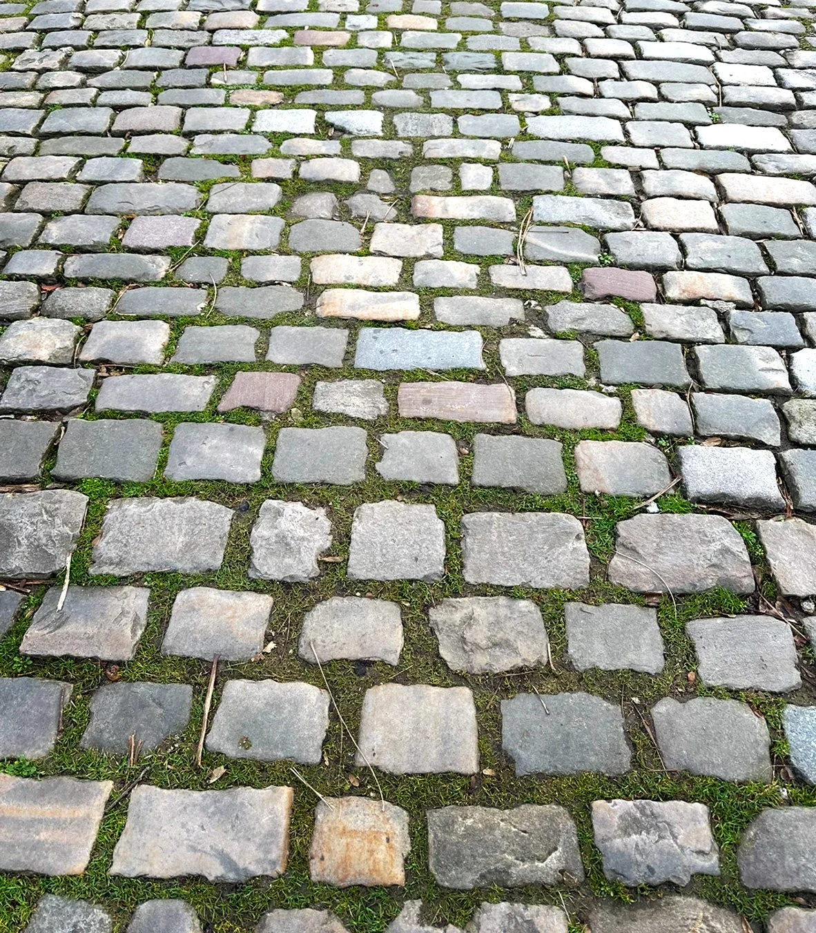 cobblestones_PereLachaiseCemetery.jpg