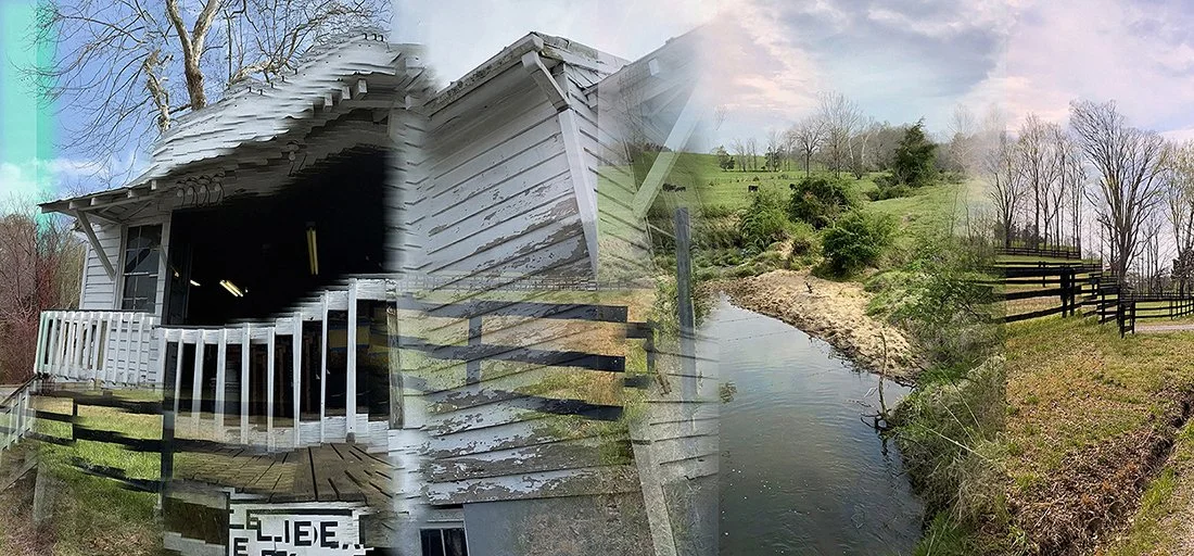 fPeculiarPastoral_CountryStore_APlante.jpg