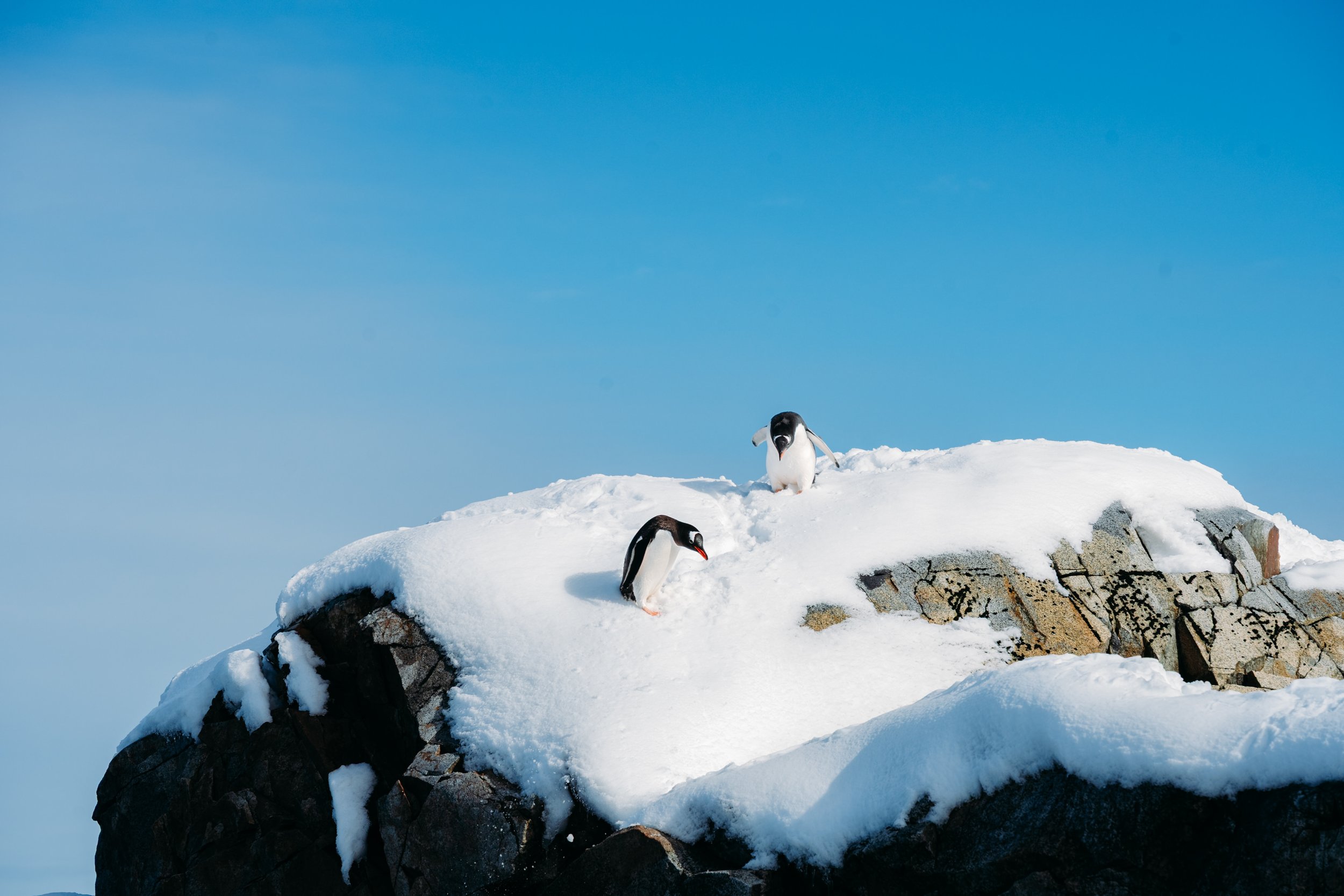 antarctica-example-12.jpg