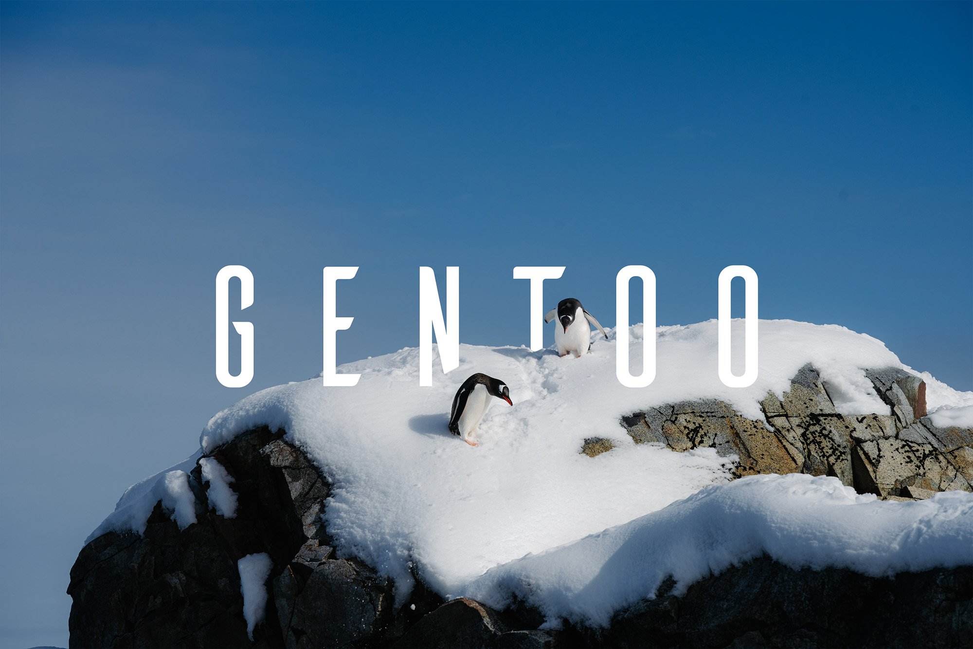 gentoo_title.jpg