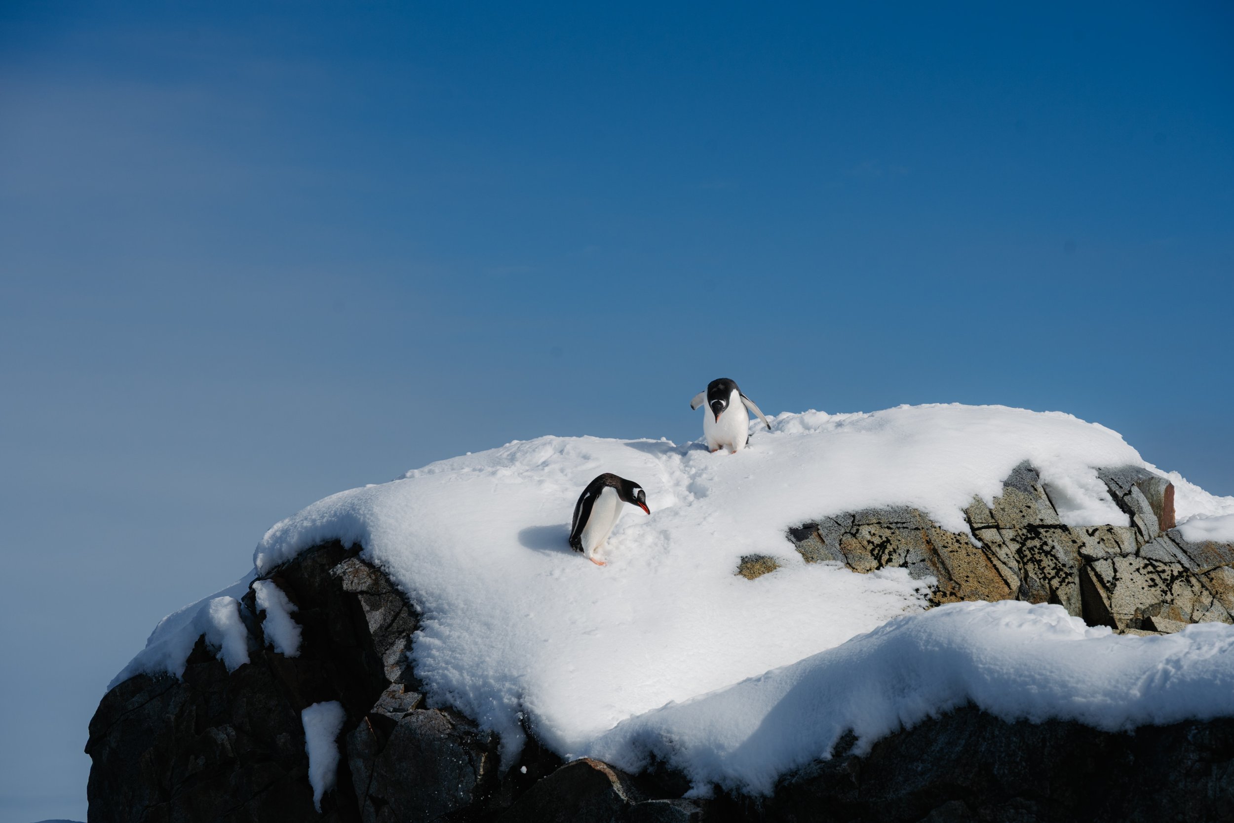 antarctica-example-11.jpg