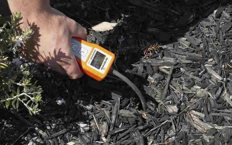 Tracer gas probe and meter used to find an underground leak in a garden