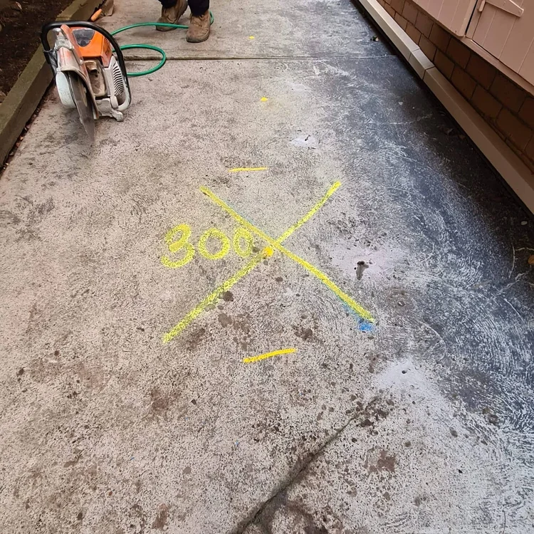 Leak location marked in paint on the ground after underground leak detection