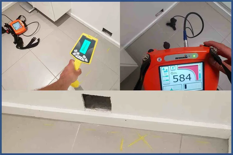 Thermal camera and leak detector used in a bathroom