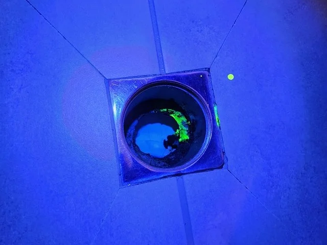 UV tracer dye glowing in a floor waste during a shower leak test