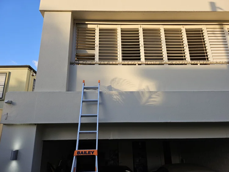 Ladder against an apartment facade during a balcony leak inspection