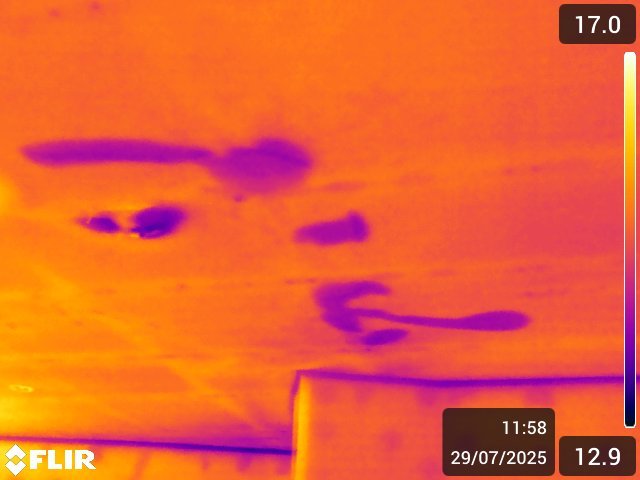 Thermal image showing damp patches on a ceiling