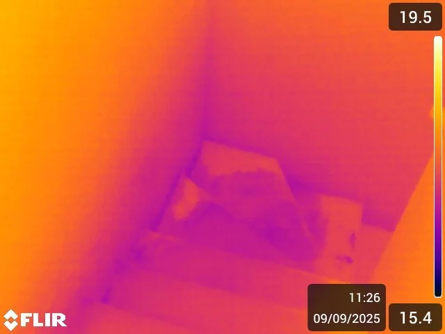 Thermal image of a floor showing moisture spreading from a leak