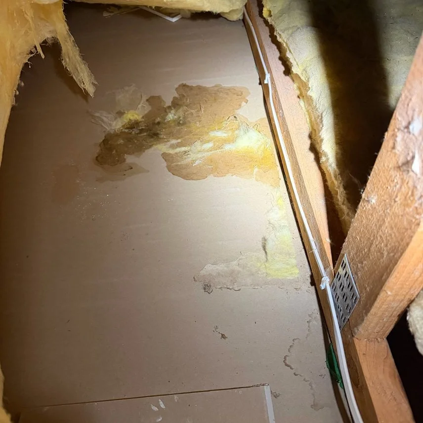 Roof or Ceiling Leaking Only in Heavy Rain? Why It Happens and How to Find It