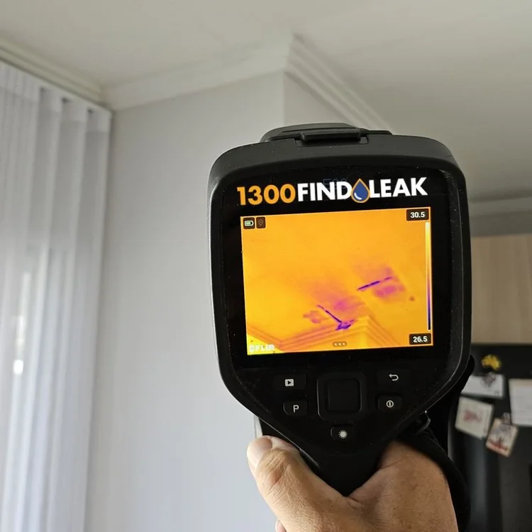 Thermal imaging camera locating a hidden water leak behind a wall