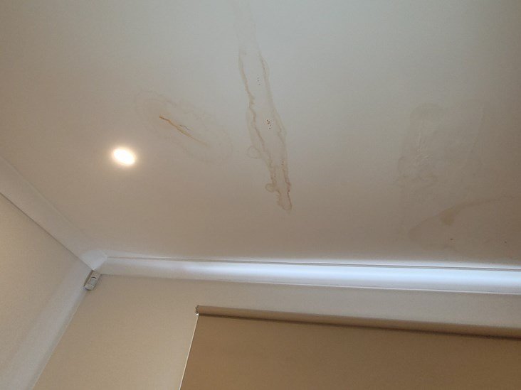 Stained and mouldy ceiling after rain