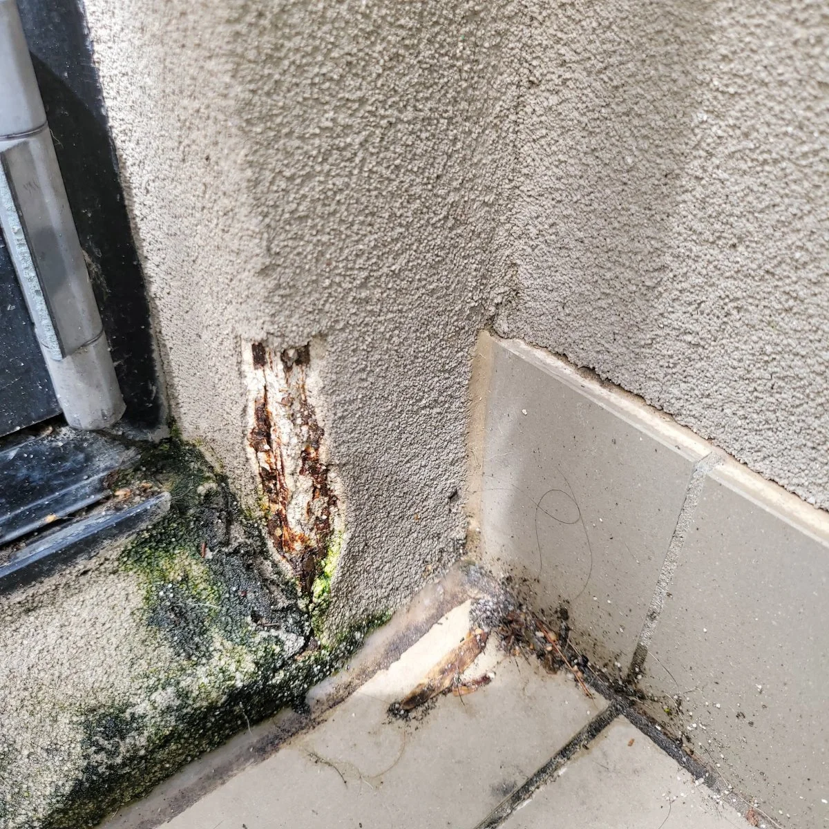cracked_render_door_sill_mould.jpg