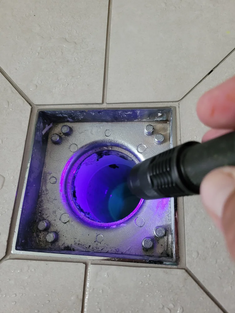 UV torch shining into a shower floor waste during testing in Elsternwick