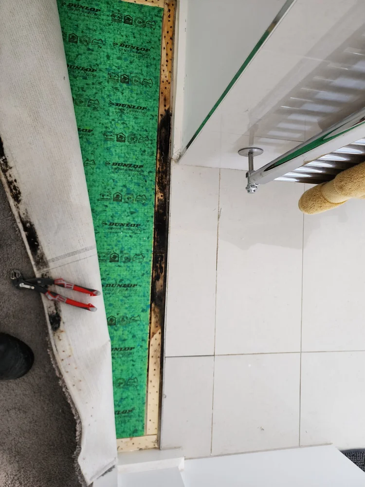 Shower wall stripped back to the waterproofing board after a leak