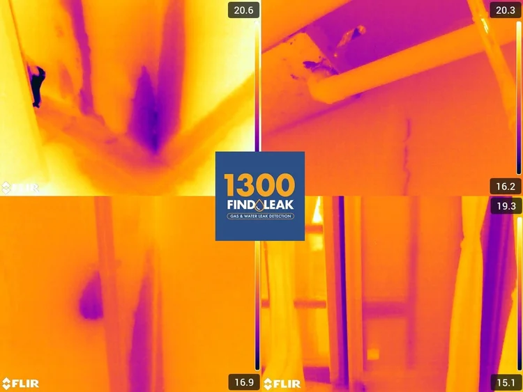 Thermal image from a Gold Coast leak investigation