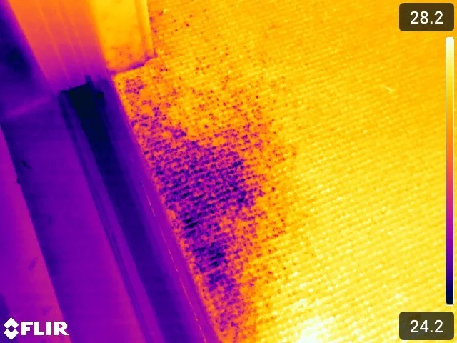 Thermal image showing a wet wall from a hidden leak