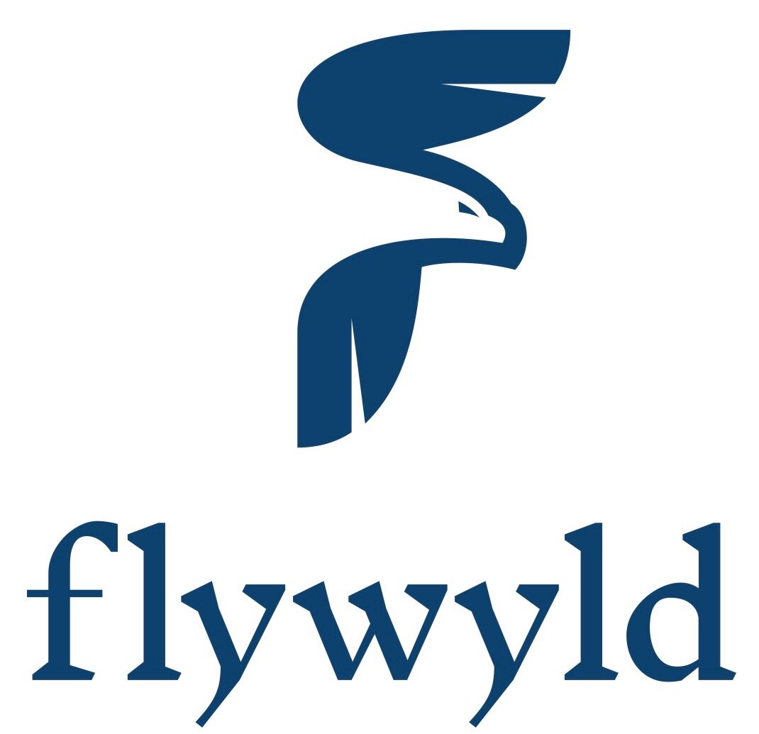 flywyld sky machines — flywyld