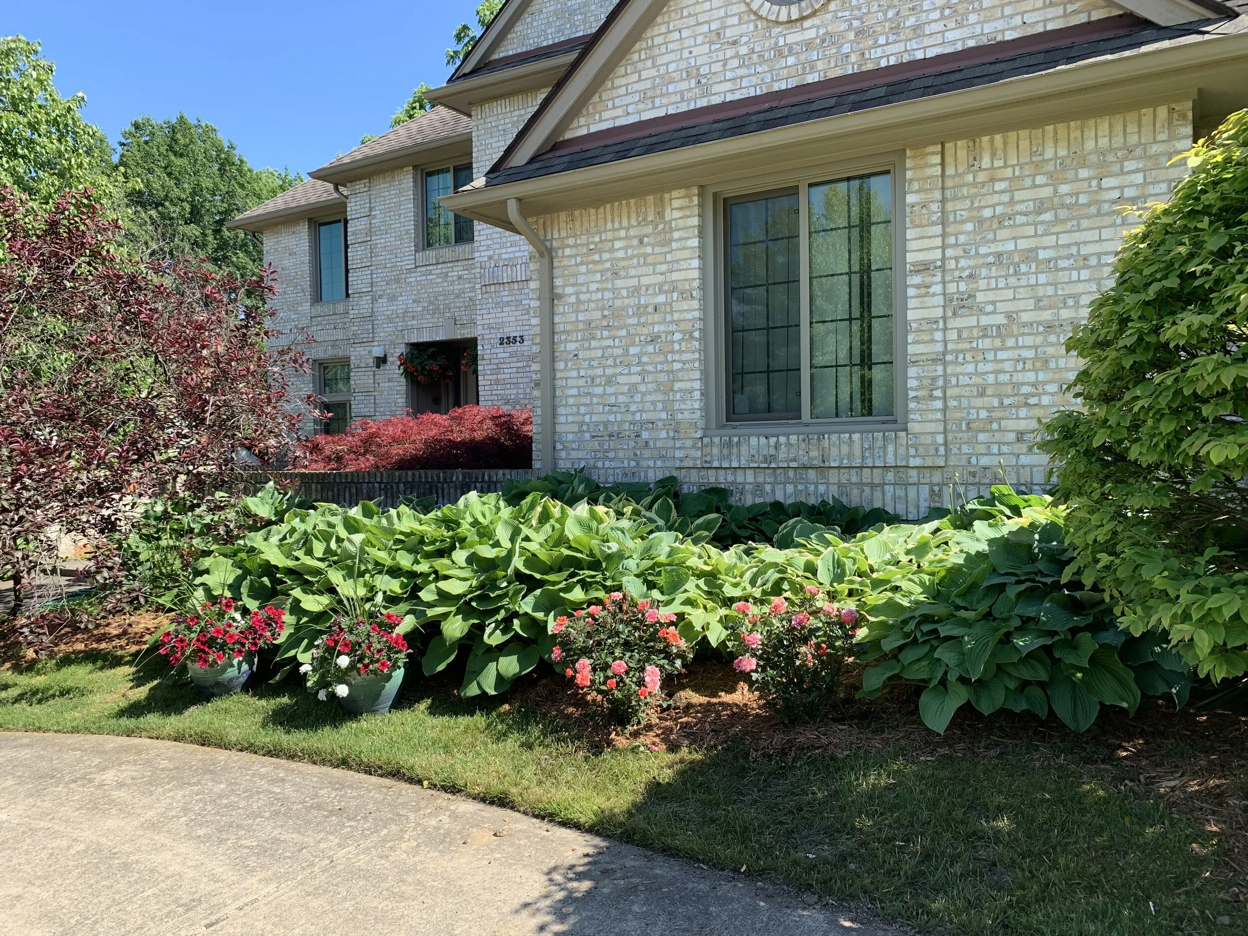 Purple Pants and Other Thoughts...