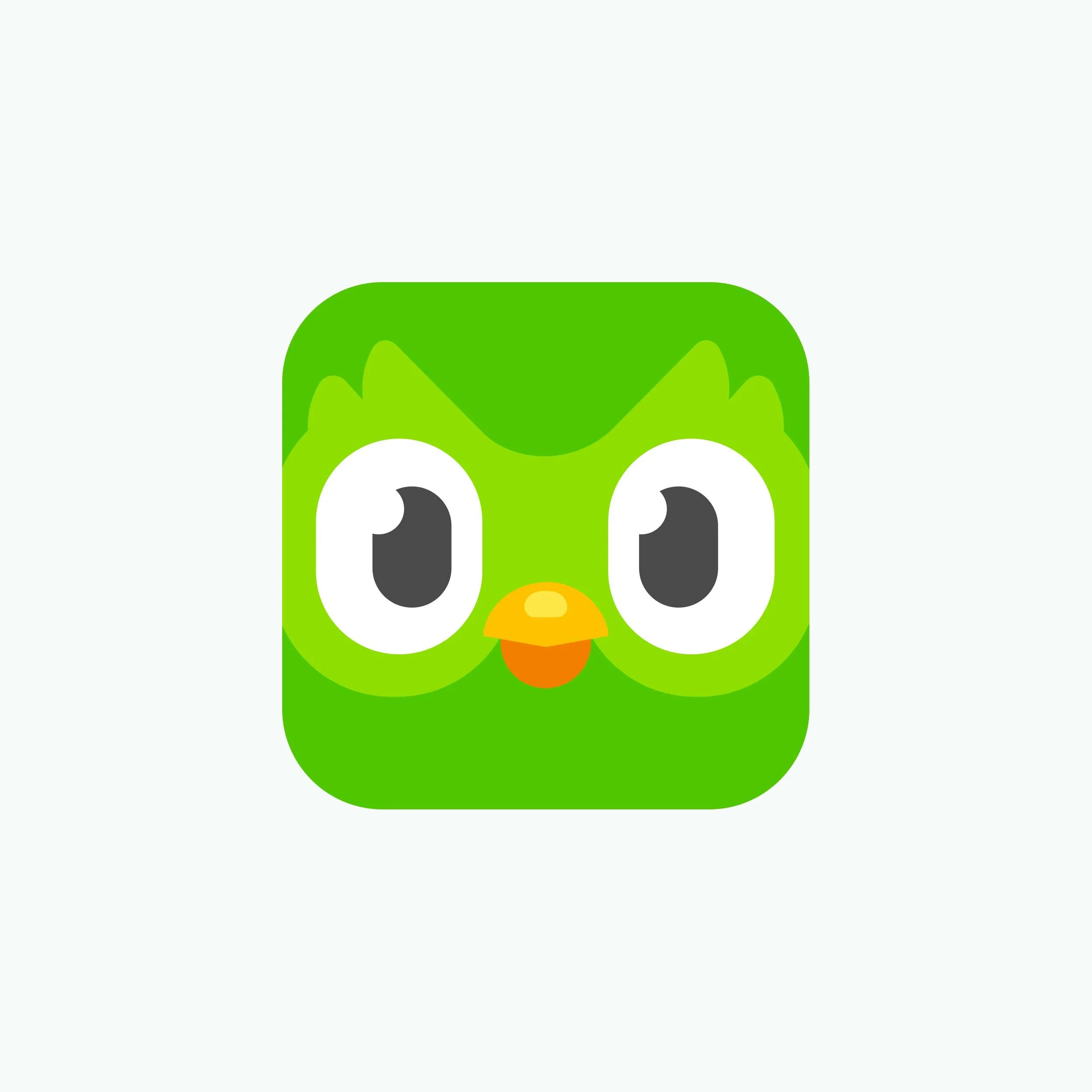 duolingo.jpg