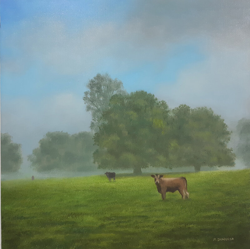 459 Cattle in the mist.jpg