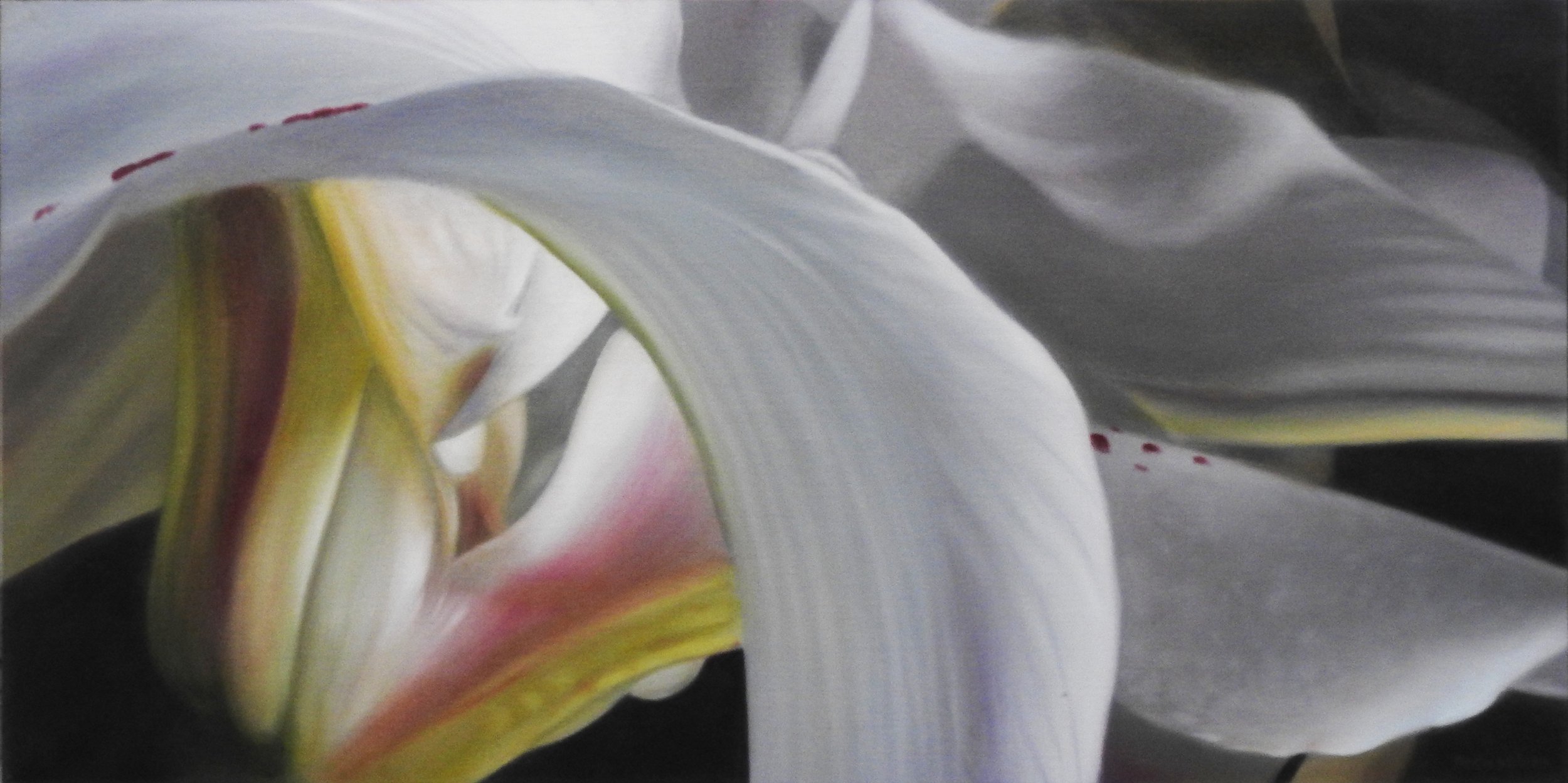 414 lily composition, 32 x 64 cm.jpg