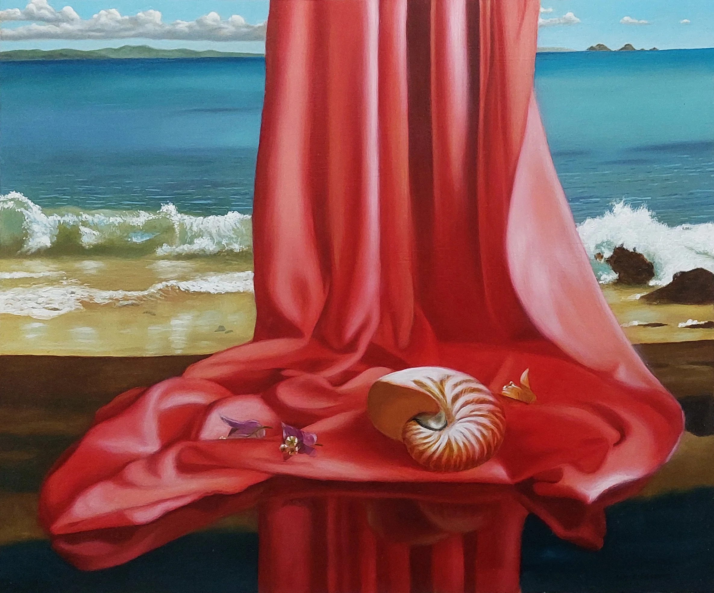 260 Nautilus restaured.jpg