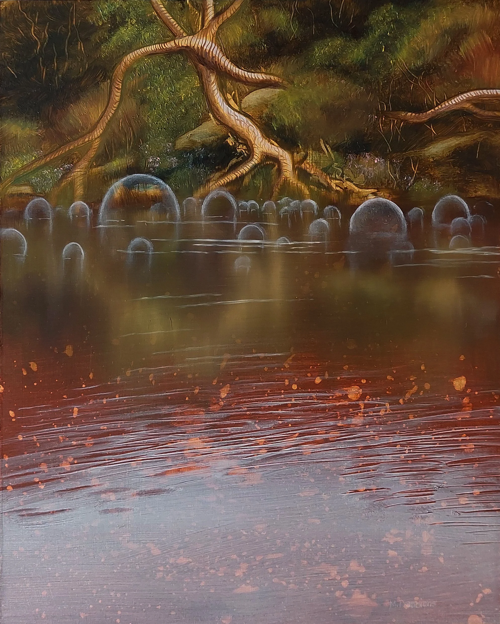 Evolution, oil on panel 24 cm x 30 cm
