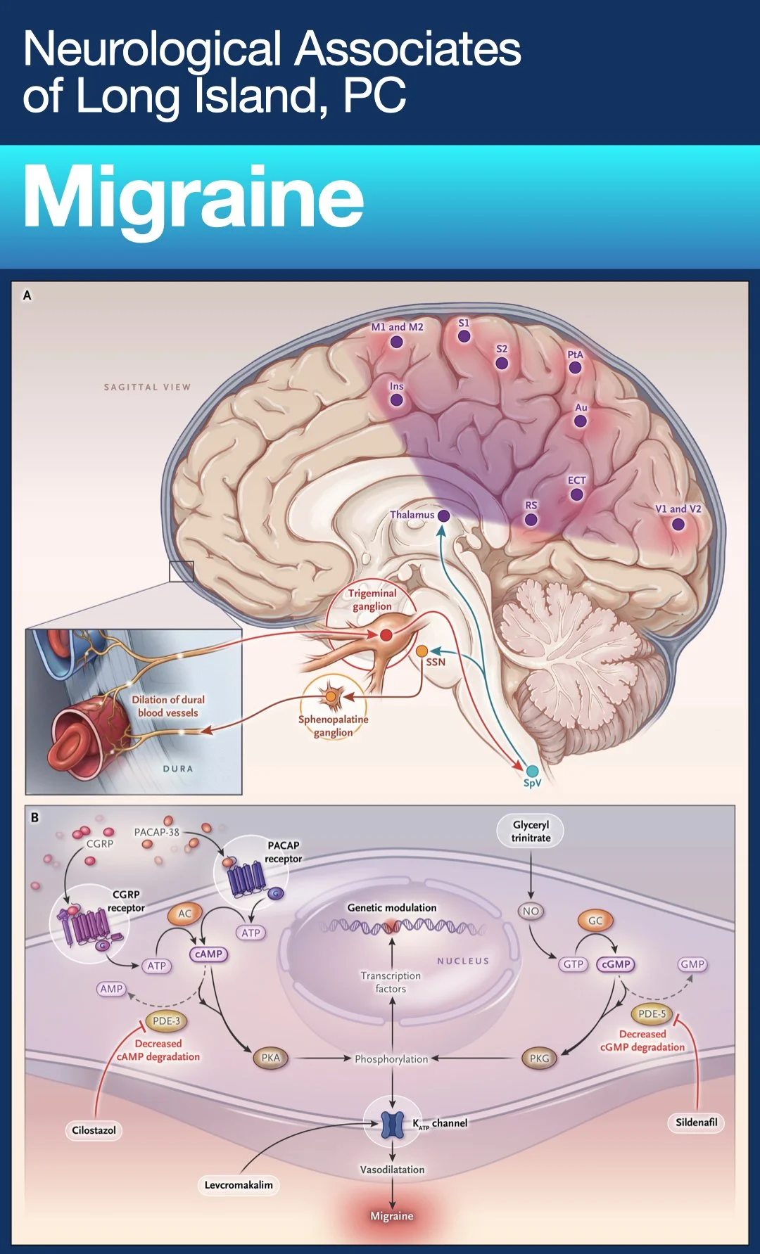 MRI PatientPoint.007.jpeg