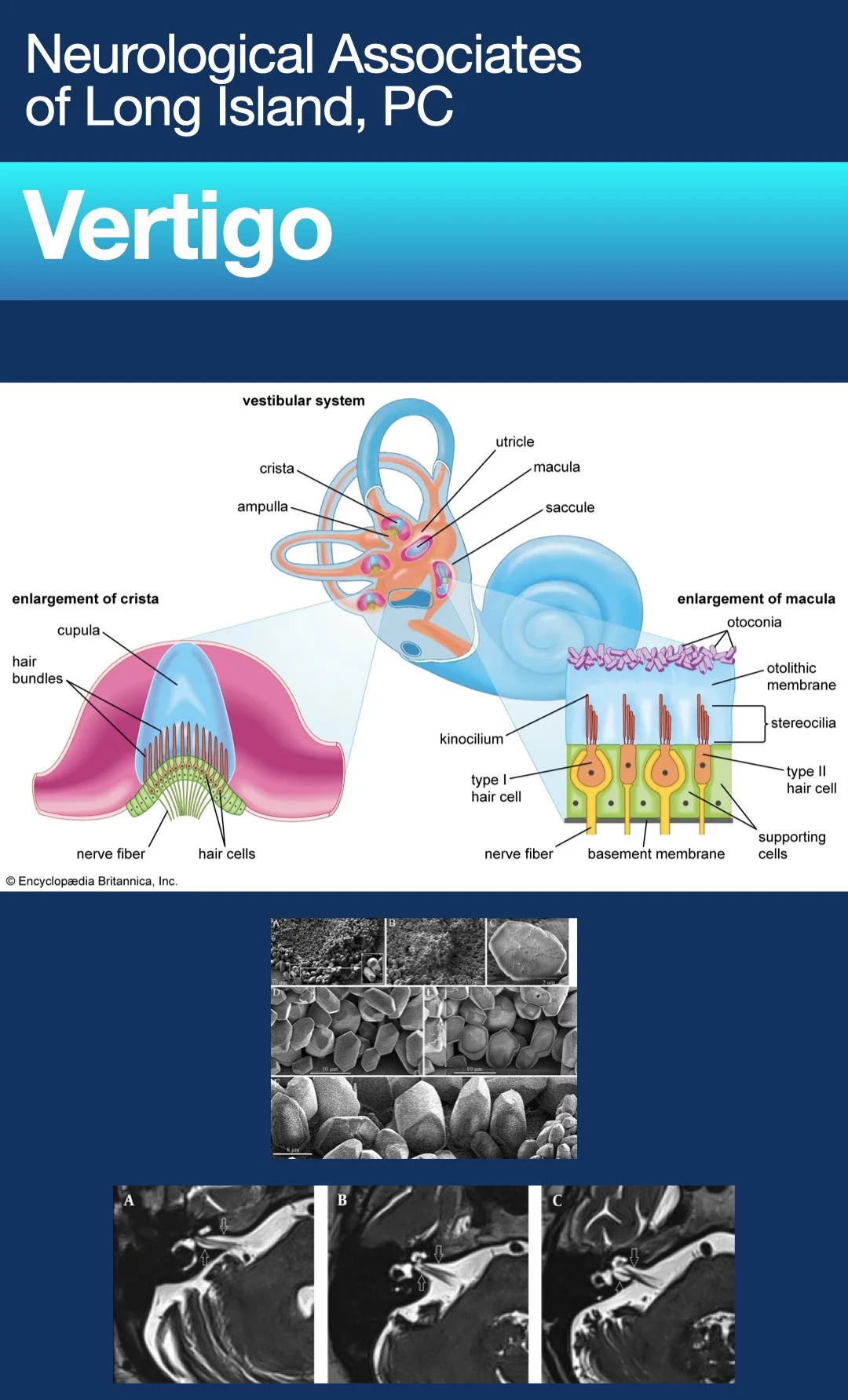 MRI PatientPoint.006.jpeg
