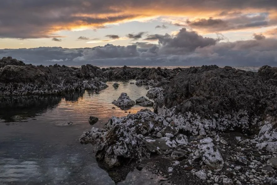 National Geographic NZ