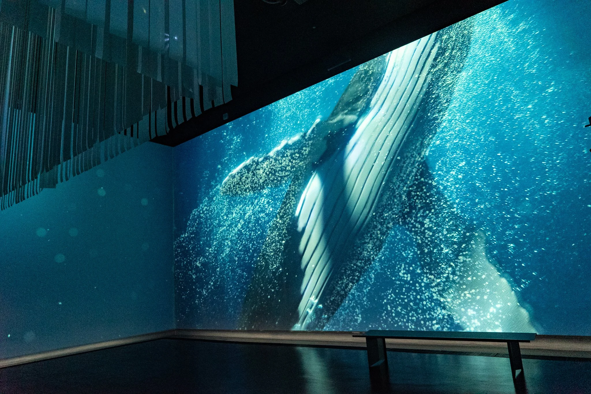 Dubai World Expo New Zealand