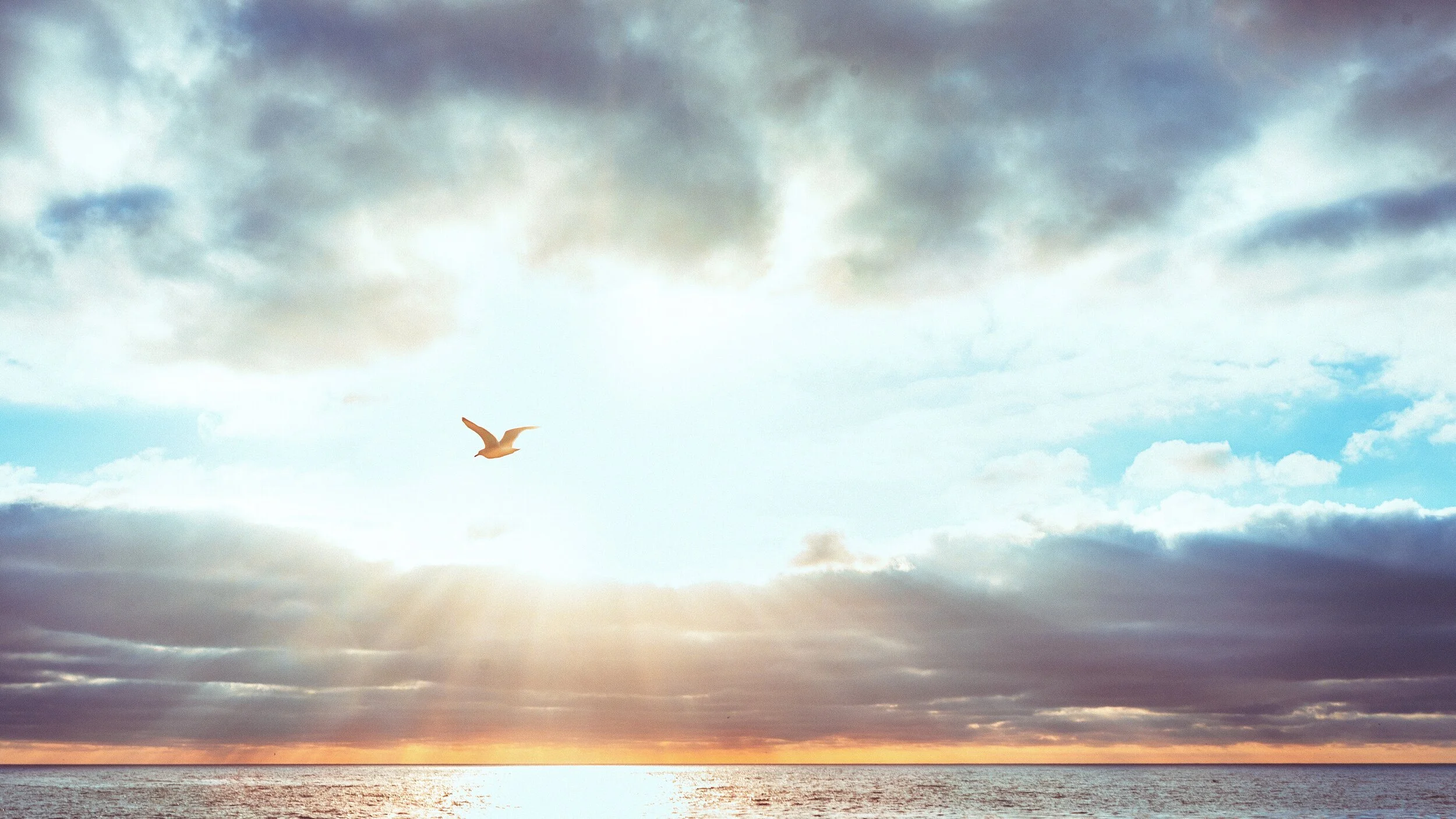 What was the King's Motivation for Creating the Earth and Mankind?