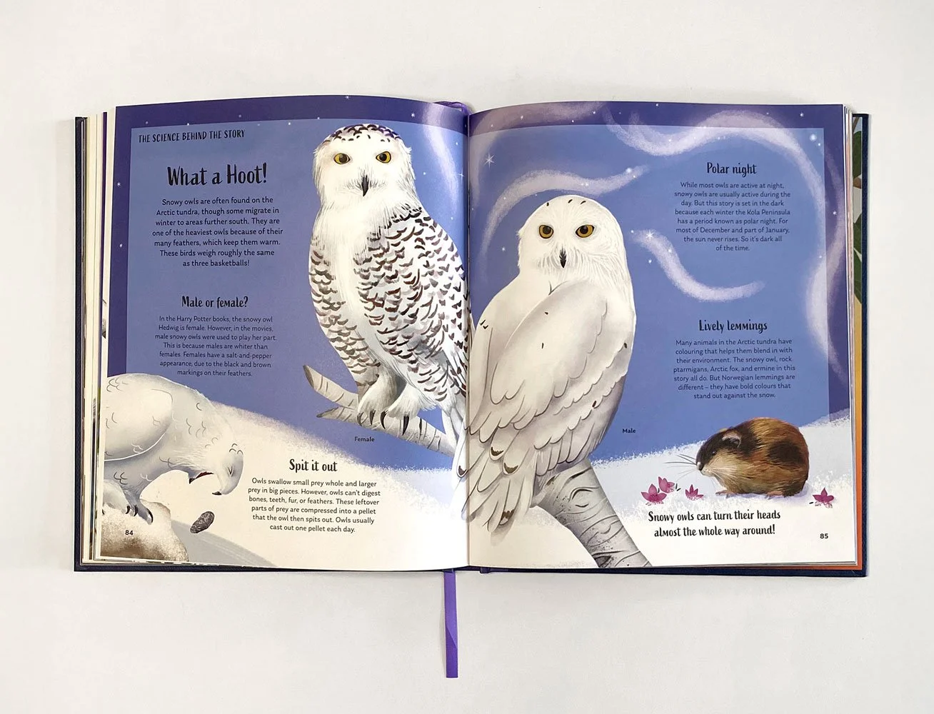 SoTS-snowy-owl-spread.jpg